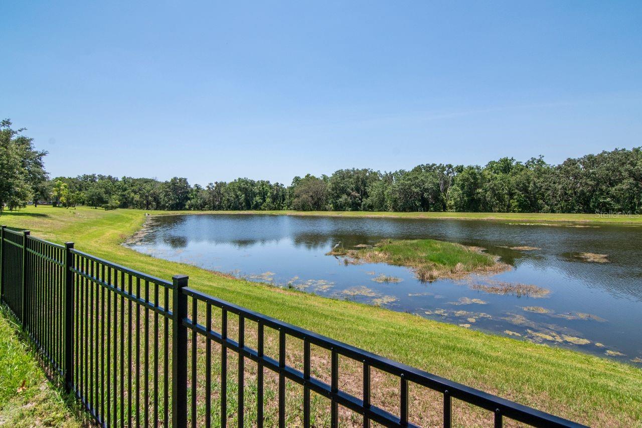 12309 CREEK EDGE DR, RIVERVIEW, FL, 33579