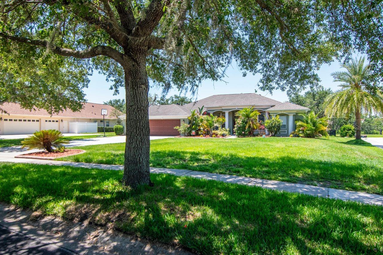 12309 CREEK EDGE DR, RIVERVIEW, FL, 33579