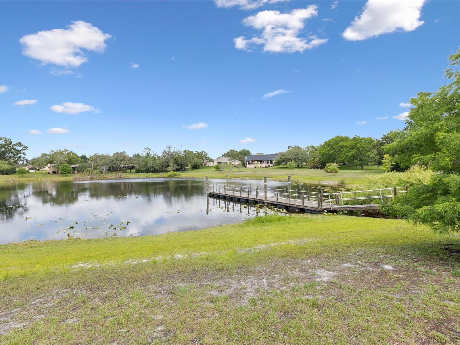 8393 DELAWARE DR, WEEKI WACHEE, FL, 34607