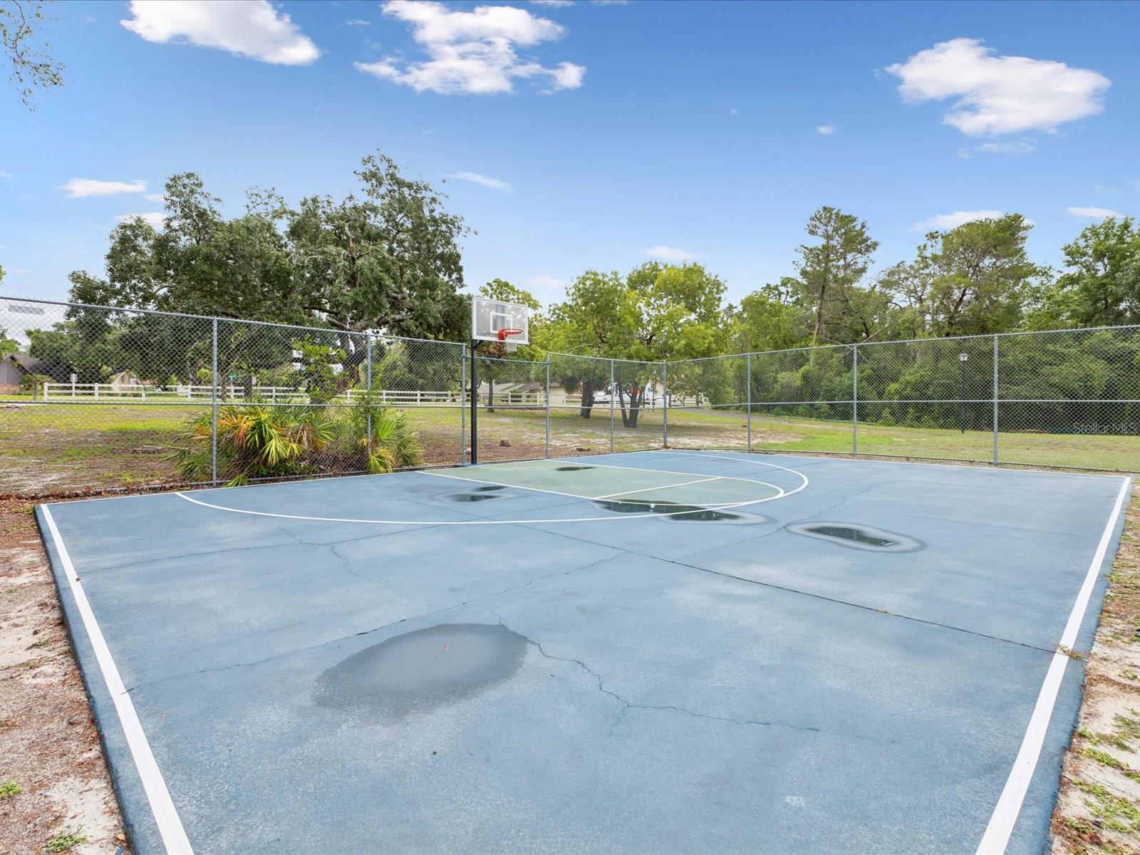 8393 DELAWARE DR, WEEKI WACHEE, FL, 34607