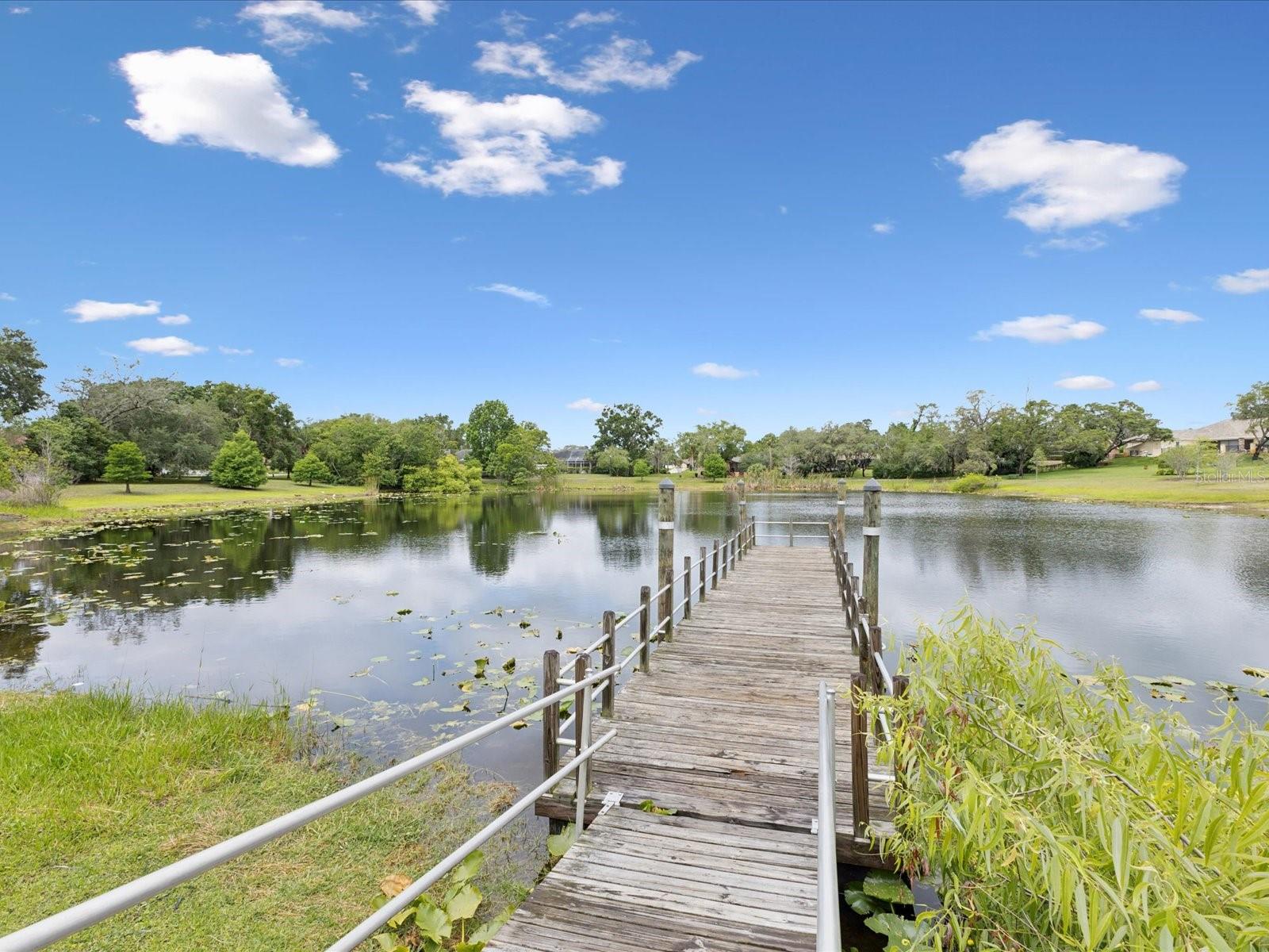 8393 DELAWARE DR, WEEKI WACHEE, FL, 34607