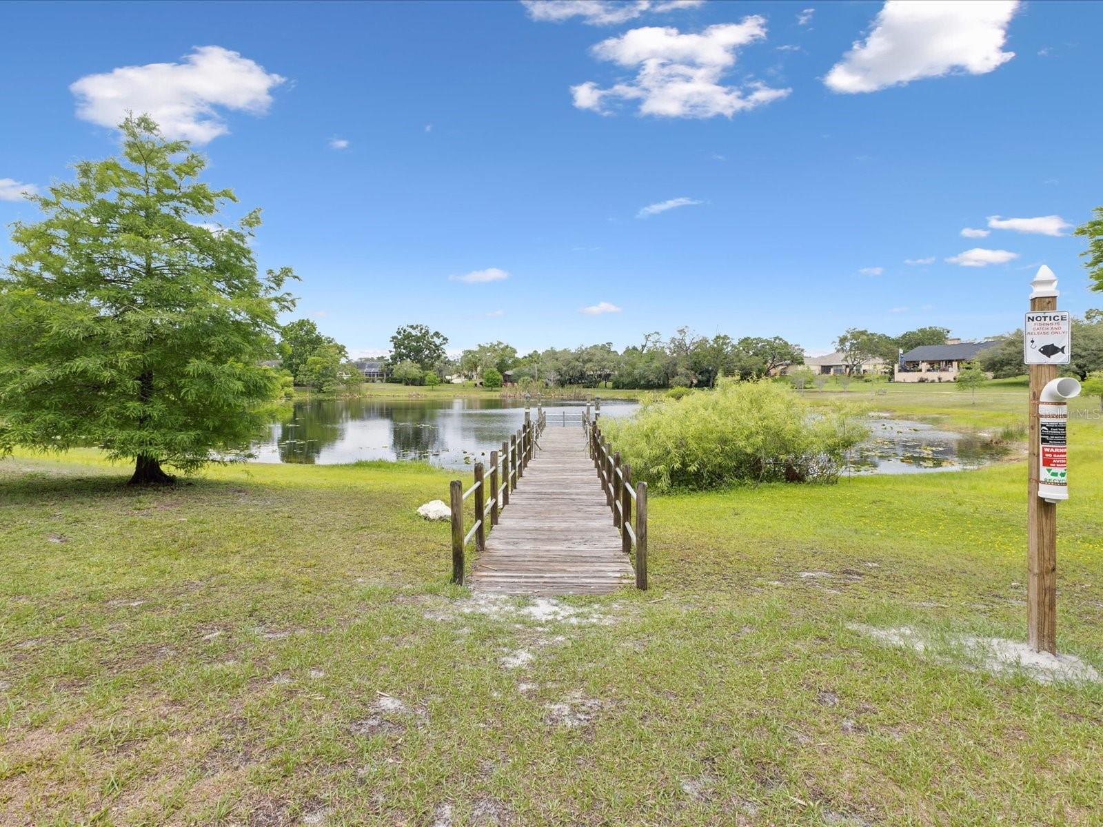 8393 DELAWARE DR, WEEKI WACHEE, FL, 34607