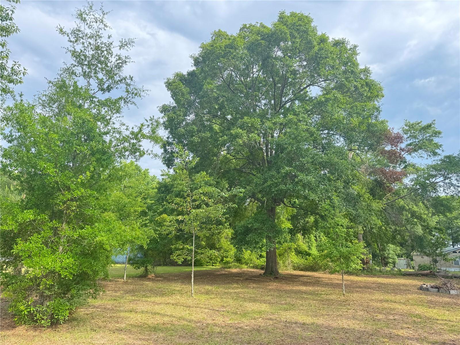 316 SE SHARON LN, LAKE CITY, FL, 32025