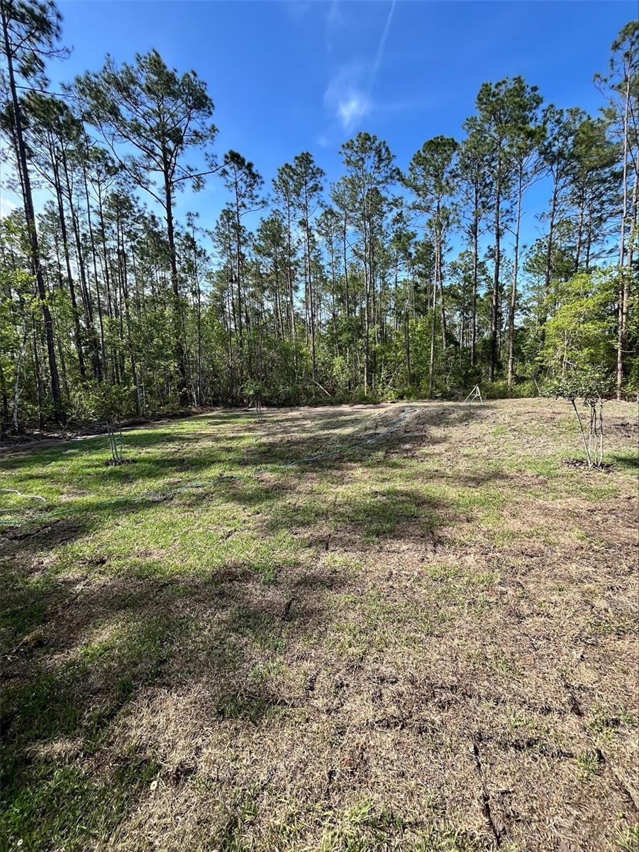 4200 WANDA ST, HASTINGS, FL, 32145