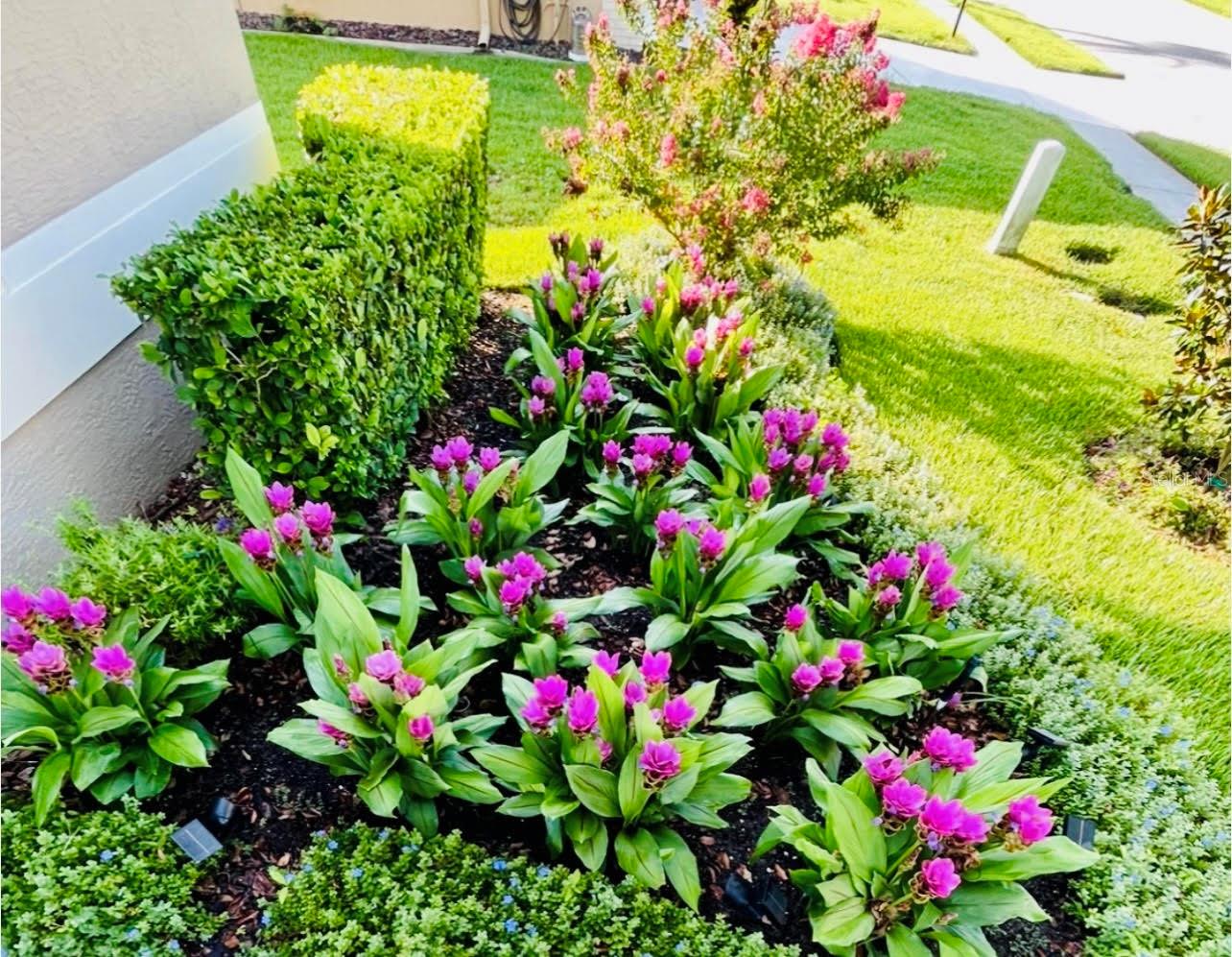 18520 HIDDEN PINES WAY, HUDSON, FL, 34667