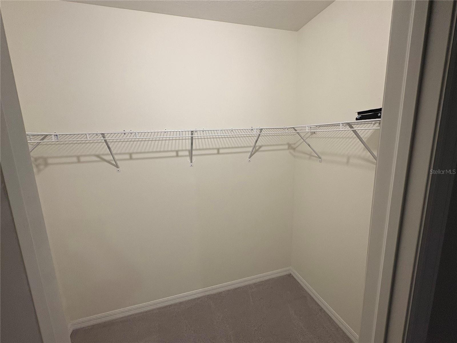 17005 AVON LN, WIMAUMA, FL, 33598