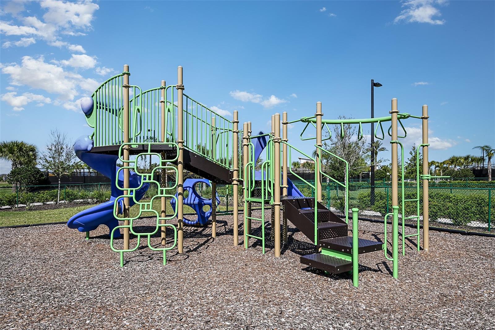 10237 TRUMPET HONEYSUCKLE WAY, SAN ANTONIO, FL, 33576