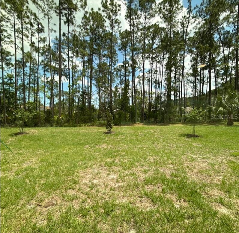 26 POSTWOOD DR, PALM COAST, FL, 32164