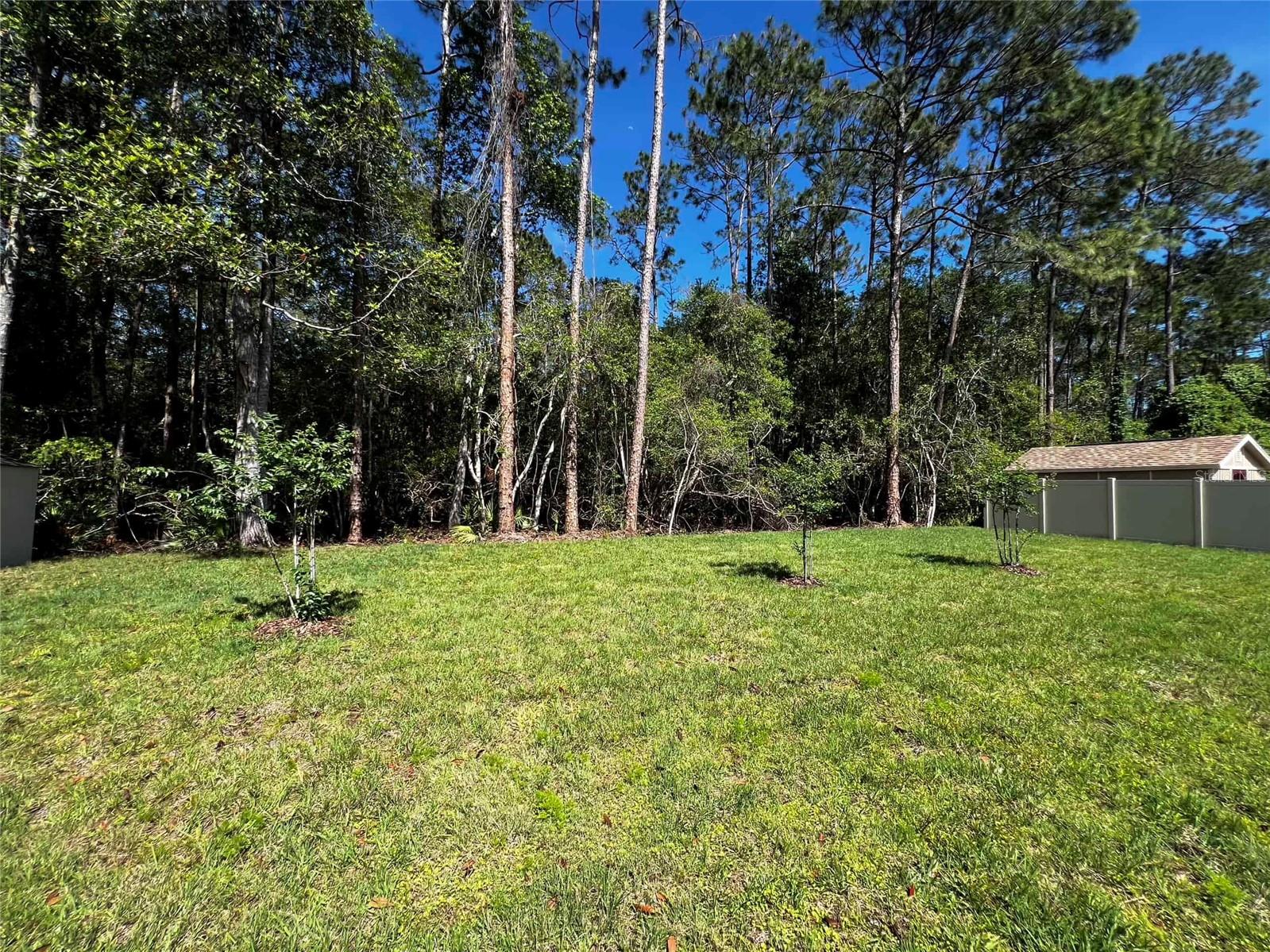 14 LLACH CT, PALM COAST, FL, 32164