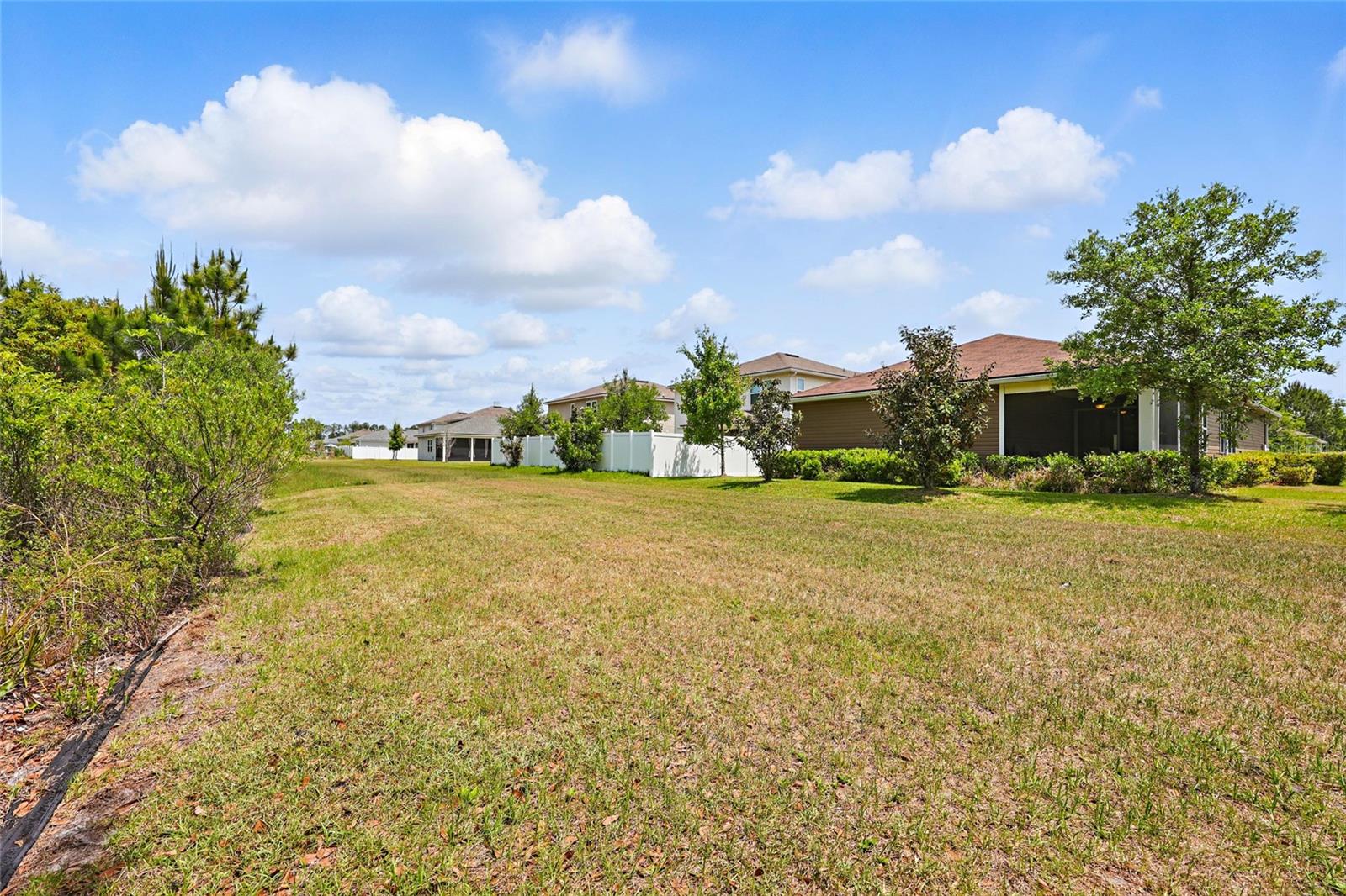 1124 PERSIMMON DR, MIDDLEBURG, FL, 32068