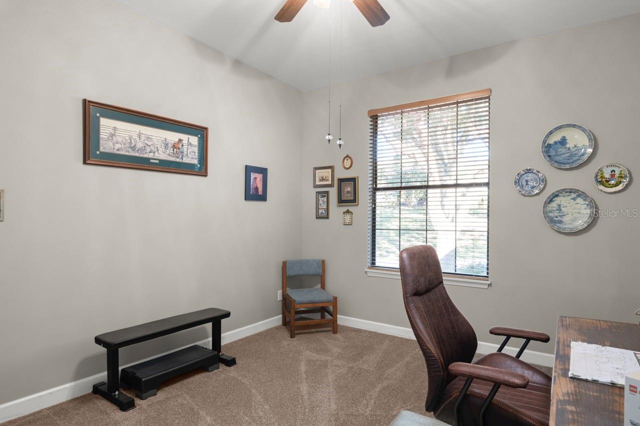 36846 PERRY CT, DADE CITY, FL, 33525