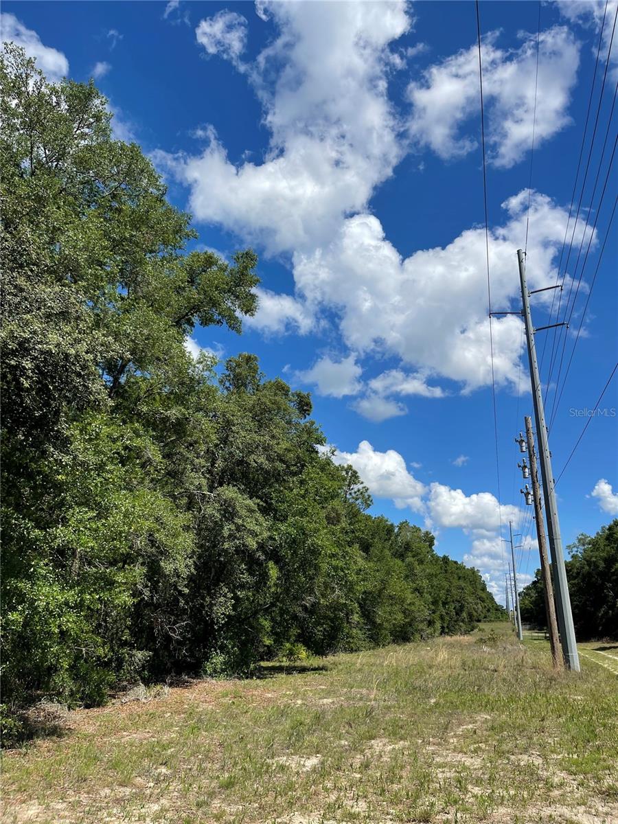 5370 N HIGHLAND PARK DR, HERNANDO, FL, 34442