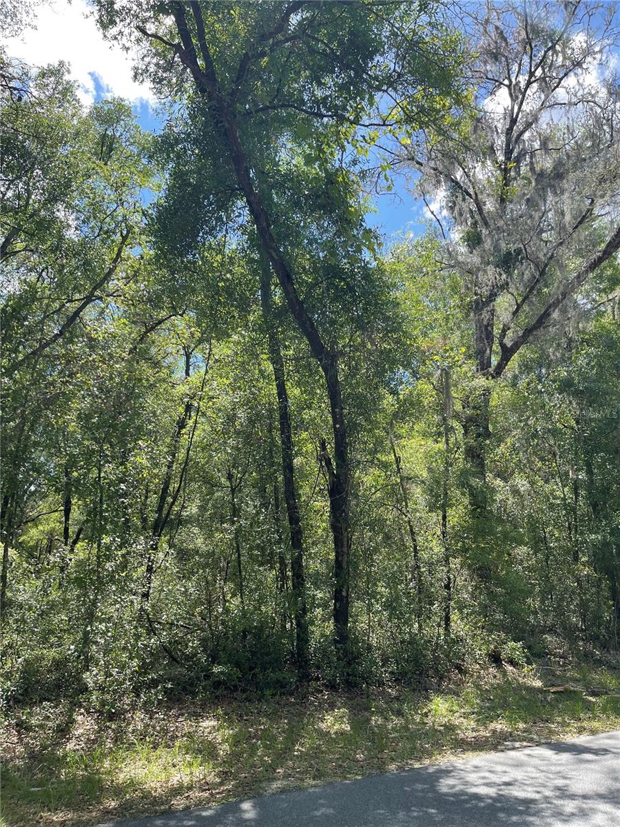 5370 N HIGHLAND PARK DR, HERNANDO, FL, 34442