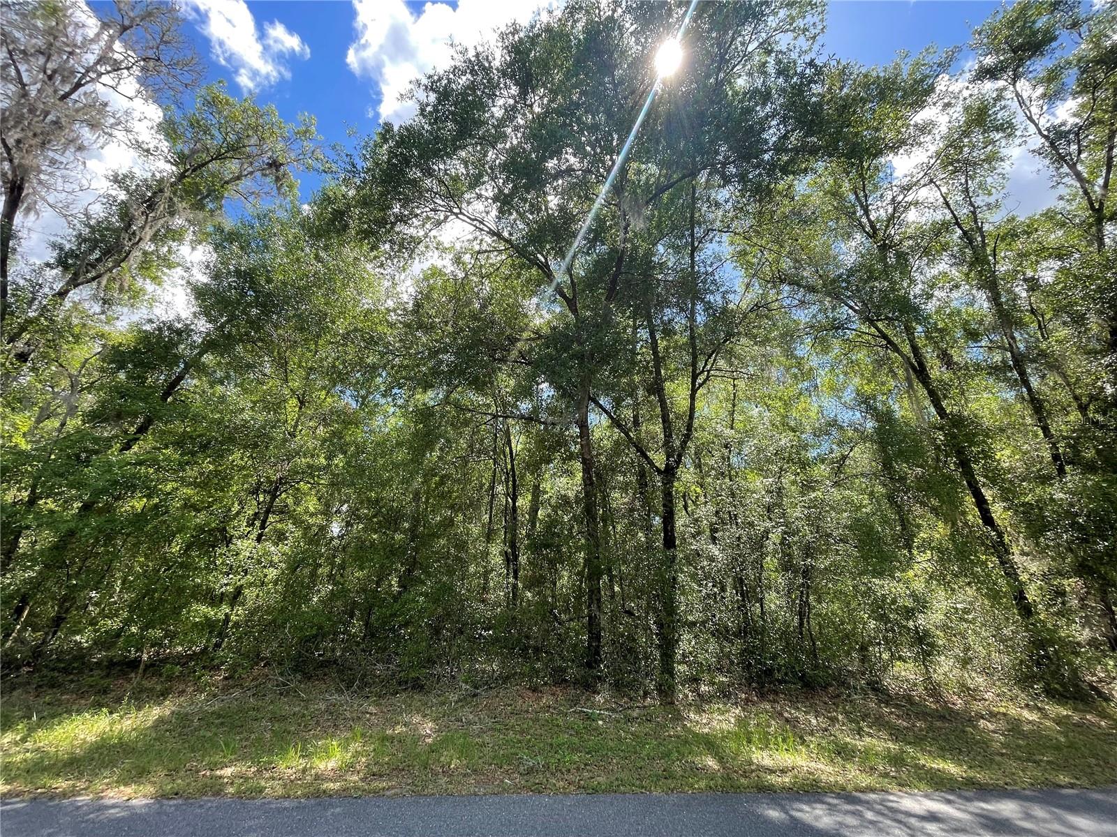 5370 N HIGHLAND PARK DR, HERNANDO, FL, 34442