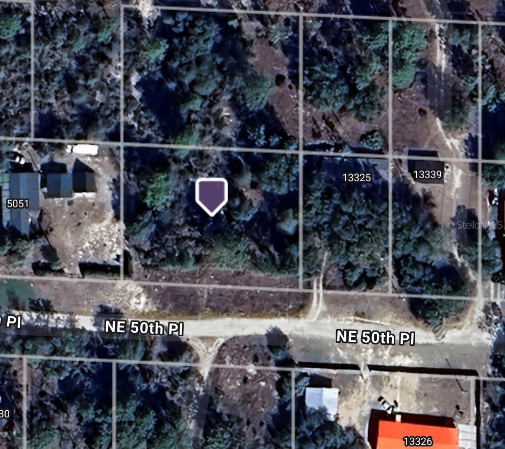 NE 50TH PLACE, WILLISTON, FL, 32696