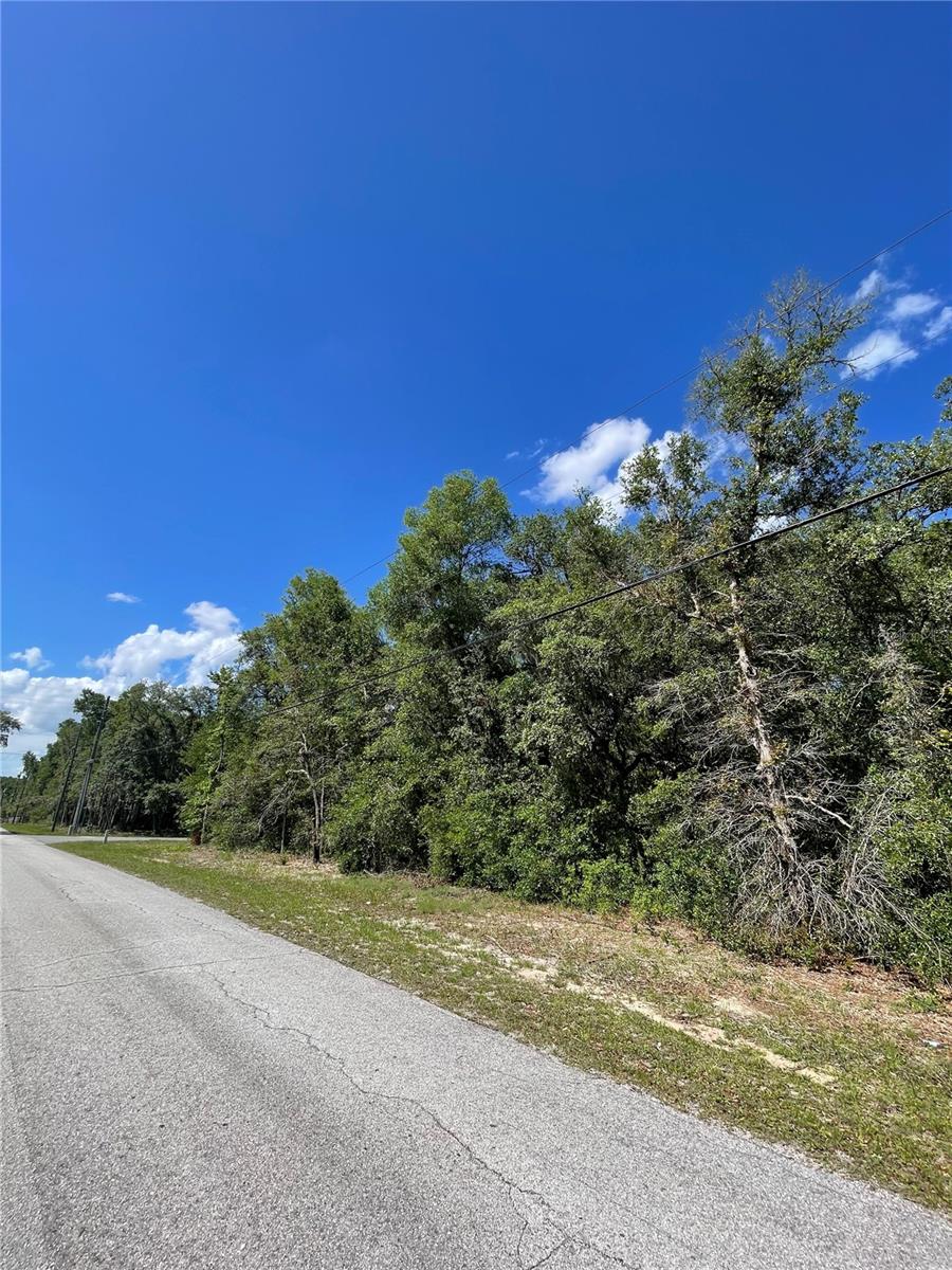 5305 N WESTERN DR, HERNANDO, FL, 34442