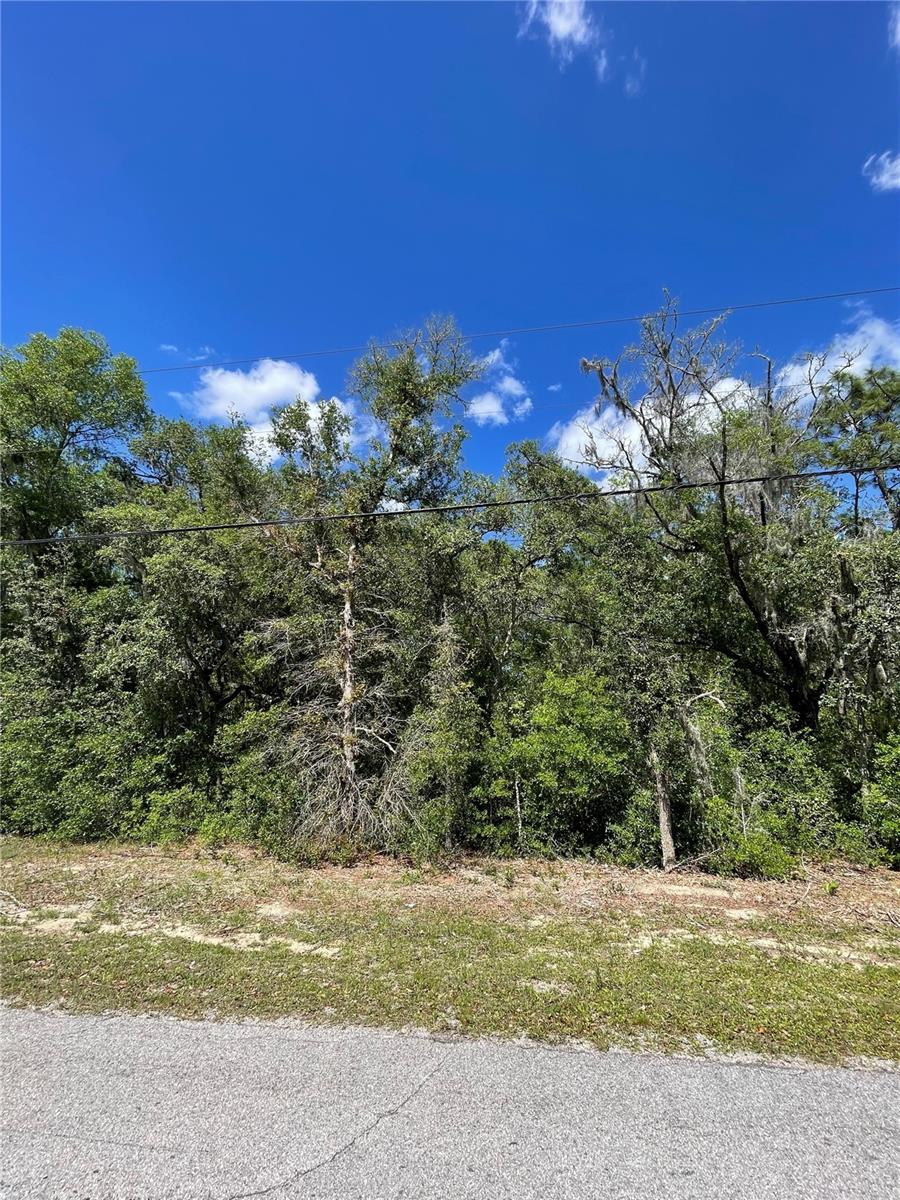 5305 N WESTERN DR, HERNANDO, FL, 34442