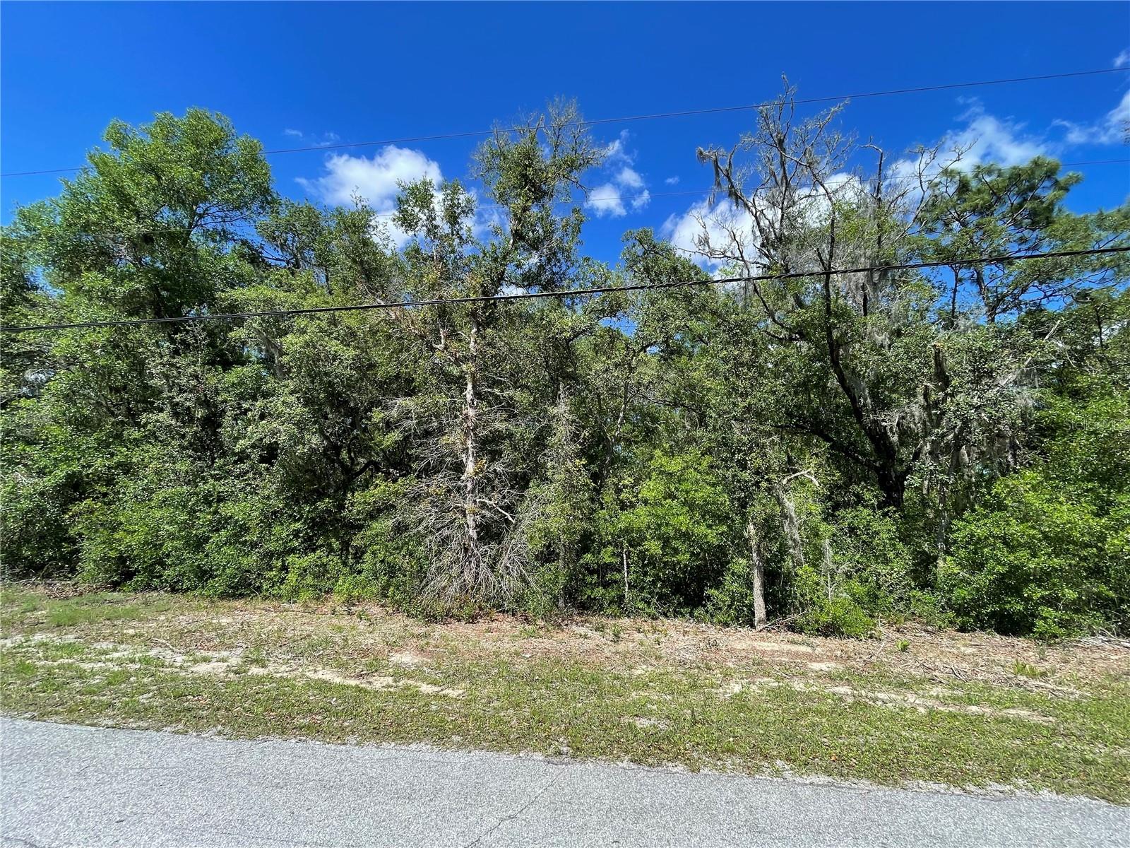 5305 N WESTERN DR, HERNANDO, FL, 34442