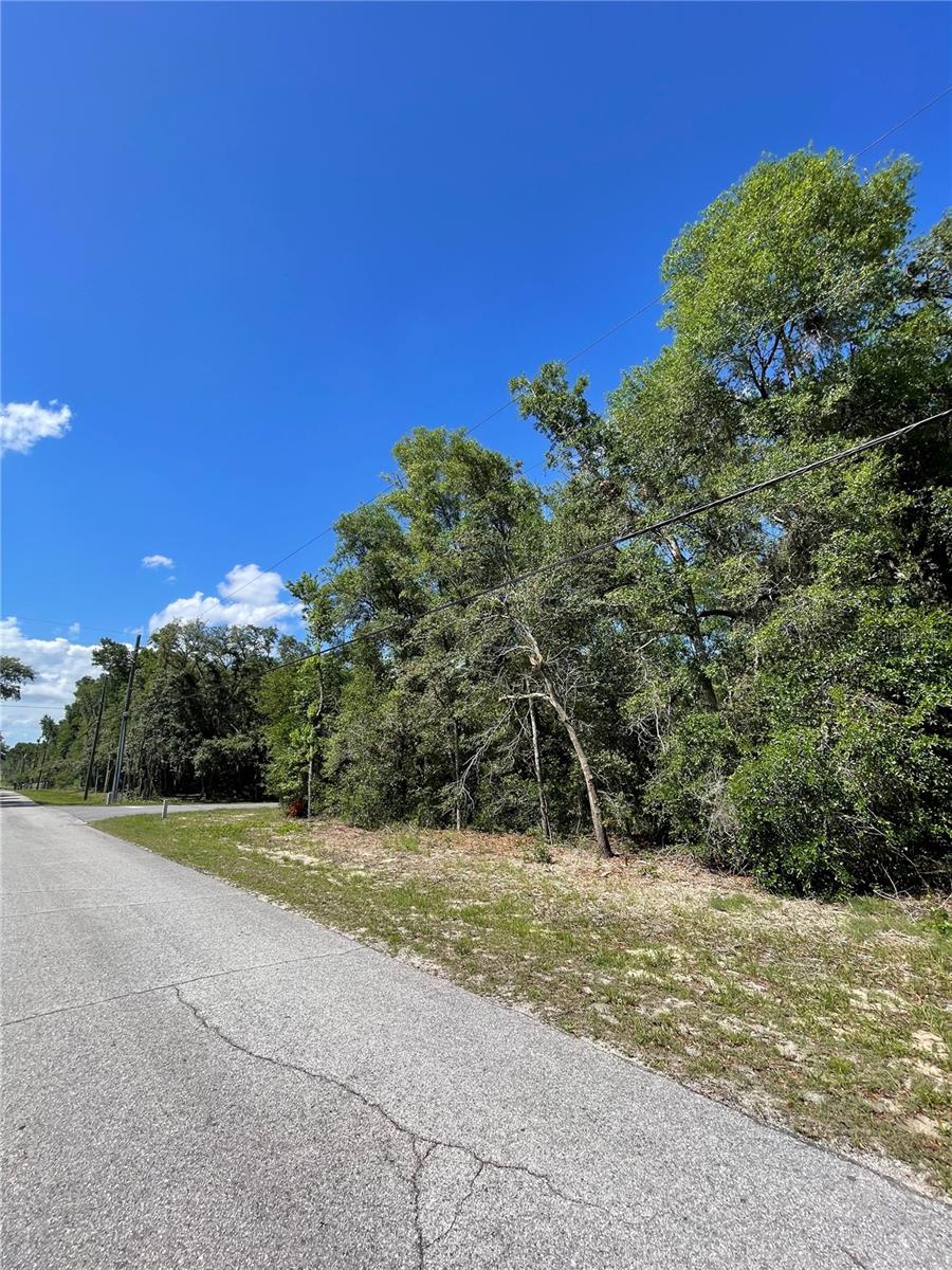 5305 N WESTERN DR, HERNANDO, FL, 34442