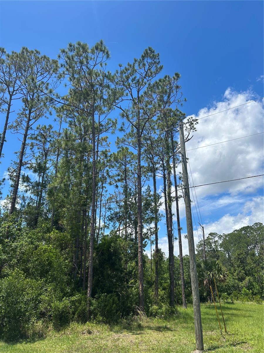 69 EASTWOOD DR, PALM COAST, FL, 32164