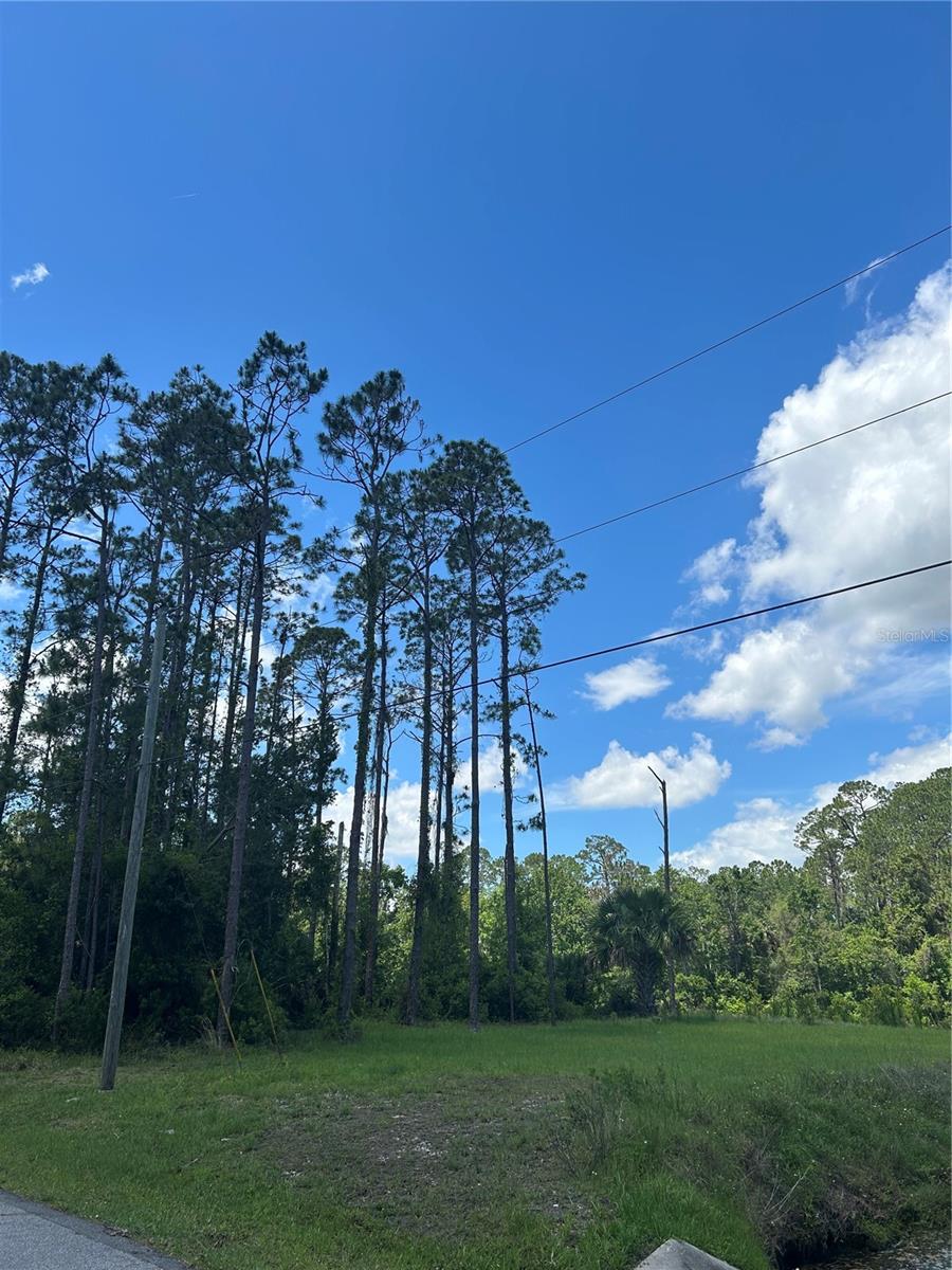 69 EASTWOOD DR, PALM COAST, FL, 32164