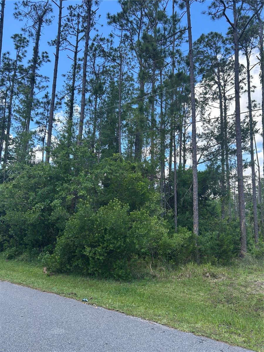 69 EASTWOOD DR, PALM COAST, FL, 32164