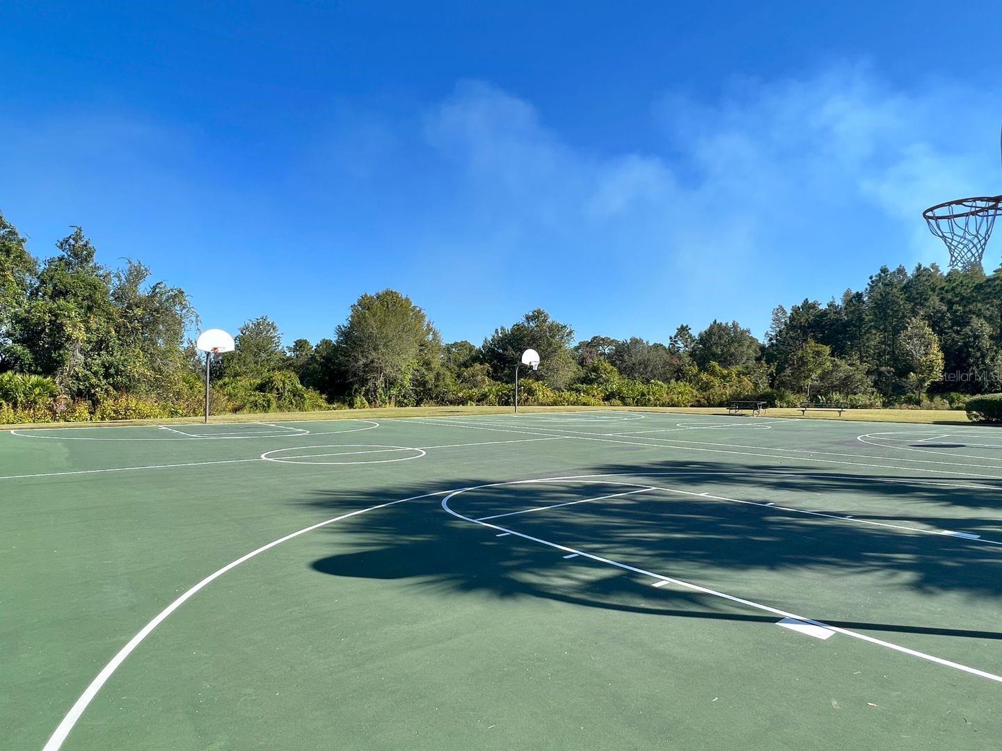 2781 HILLIARD DR, WESLEY CHAPEL, FL, 33543