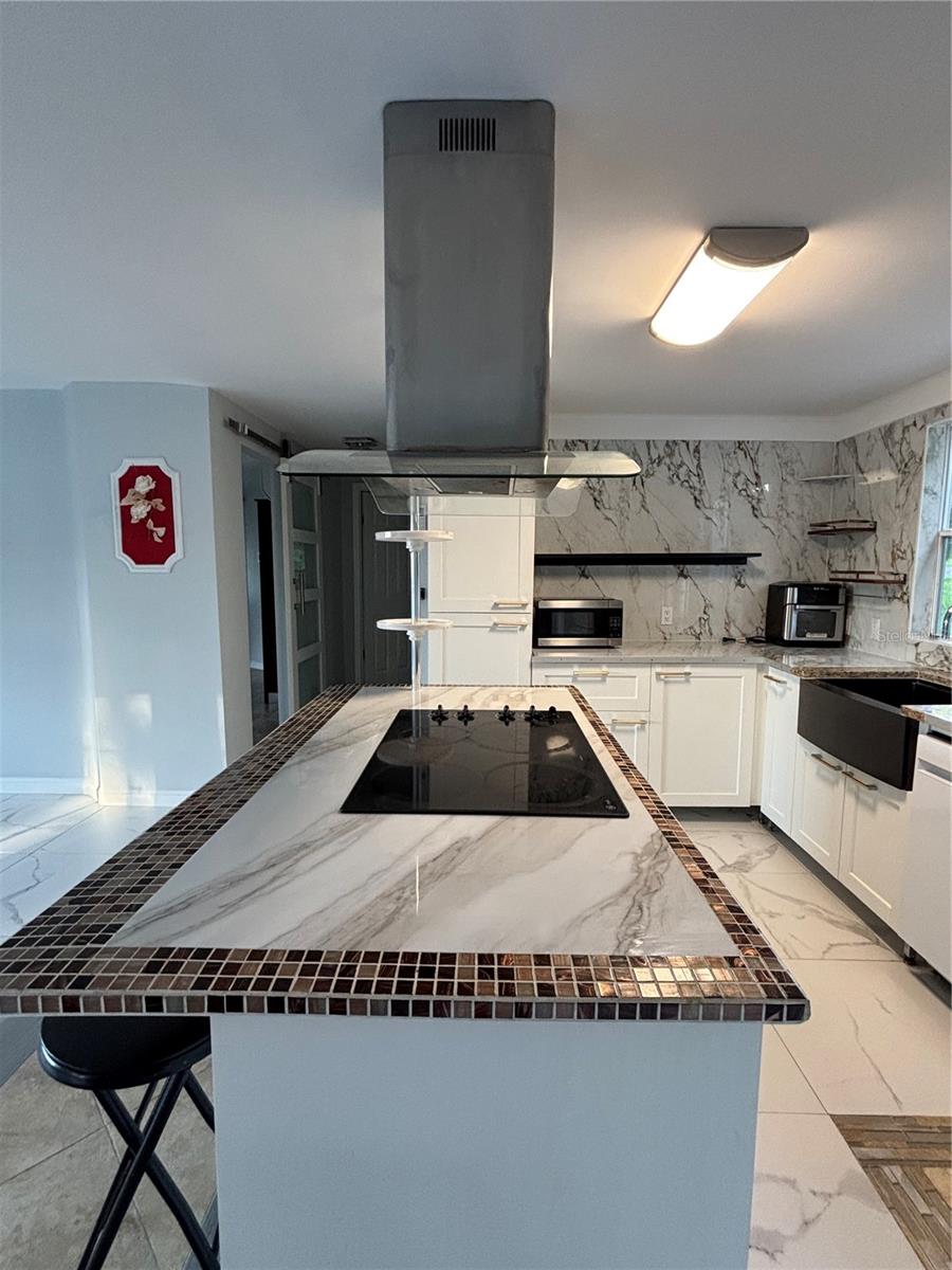 221 SKYLINE DR, LADY LAKE, FL, 32159