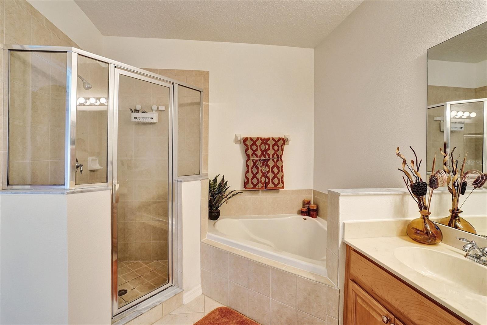 707 MAROTTA LOOP, OCOEE, FL, 34761