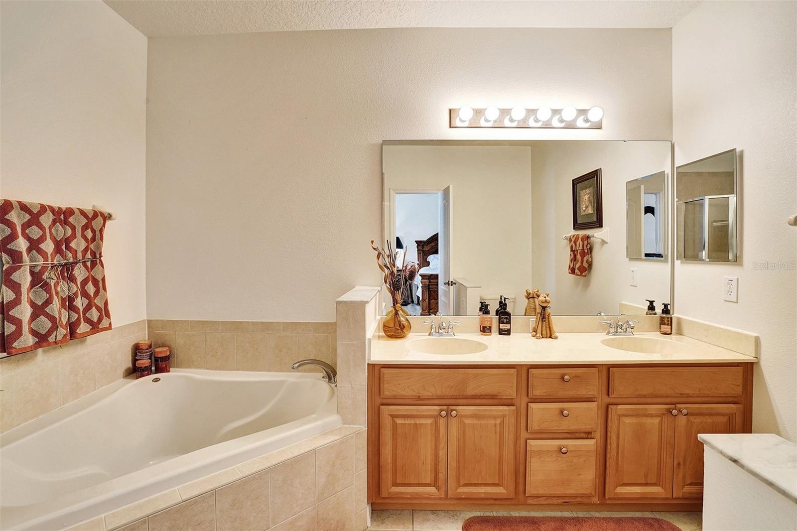 707 MAROTTA LOOP, OCOEE, FL, 34761