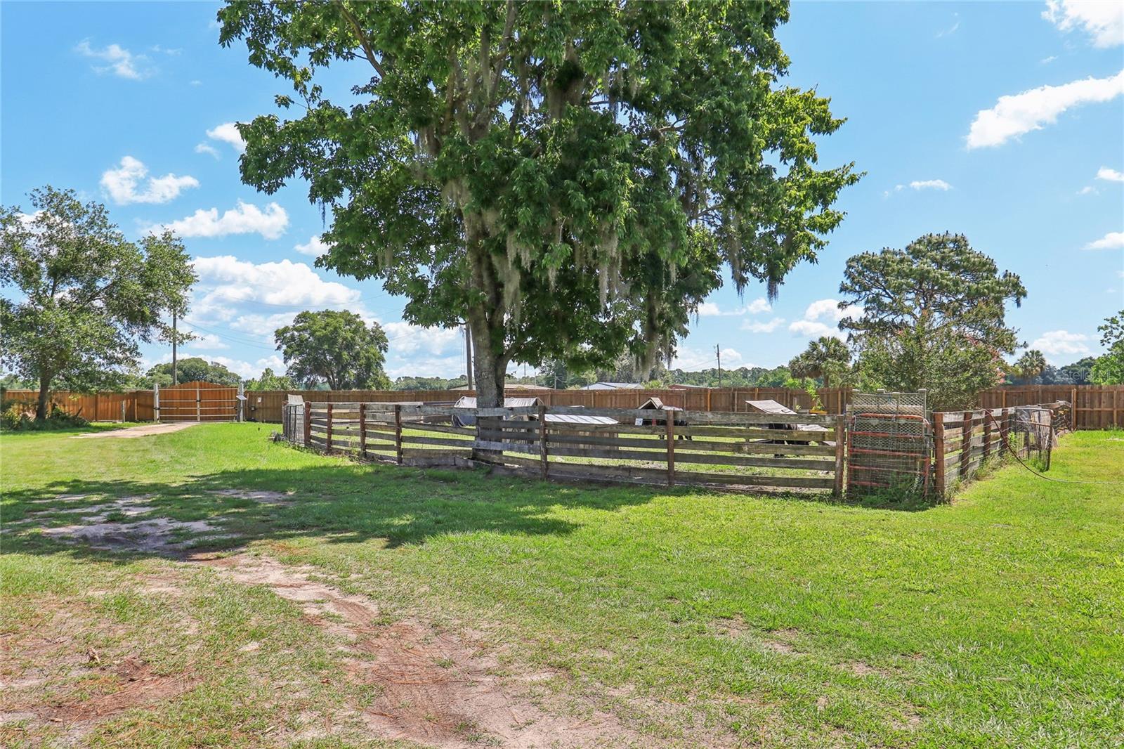 21320 PARADISE WAY, EUSTIS, FL, 32736