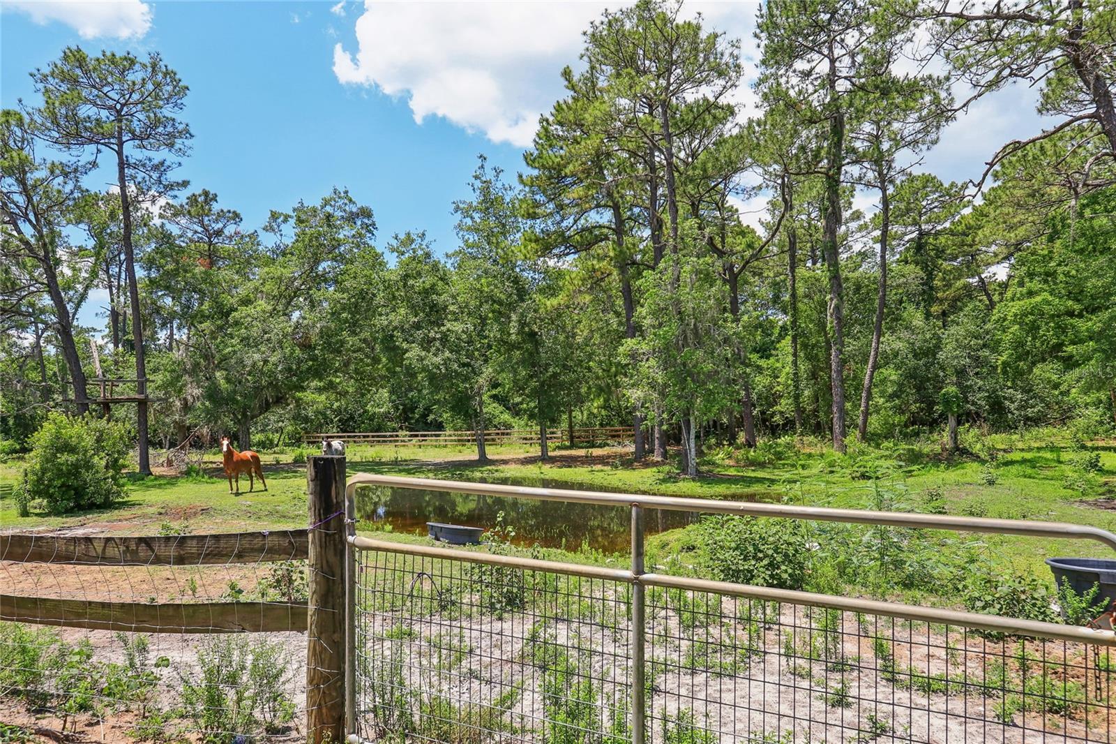 21320 PARADISE WAY, EUSTIS, FL, 32736