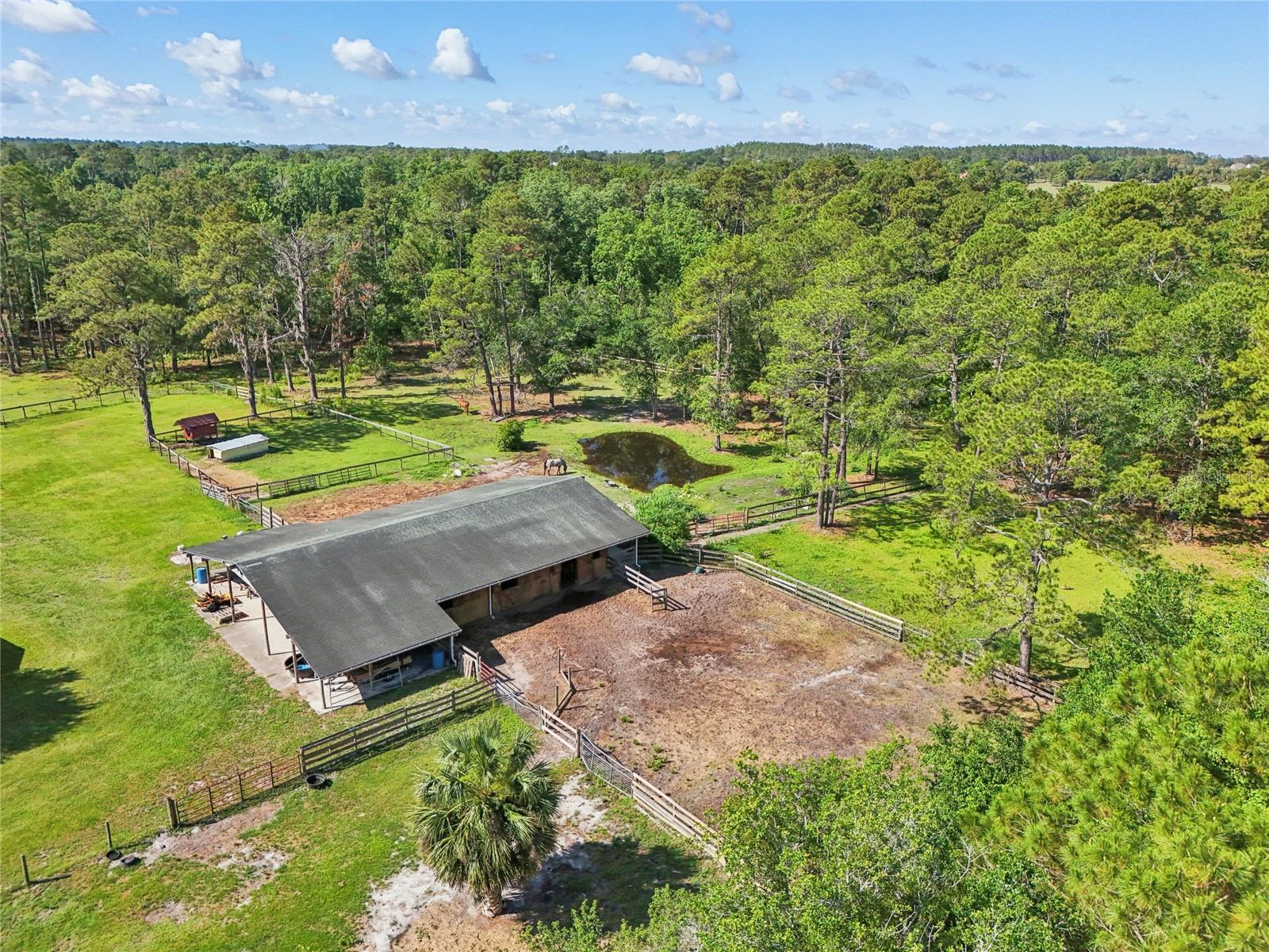 21320 PARADISE WAY, EUSTIS, FL, 32736