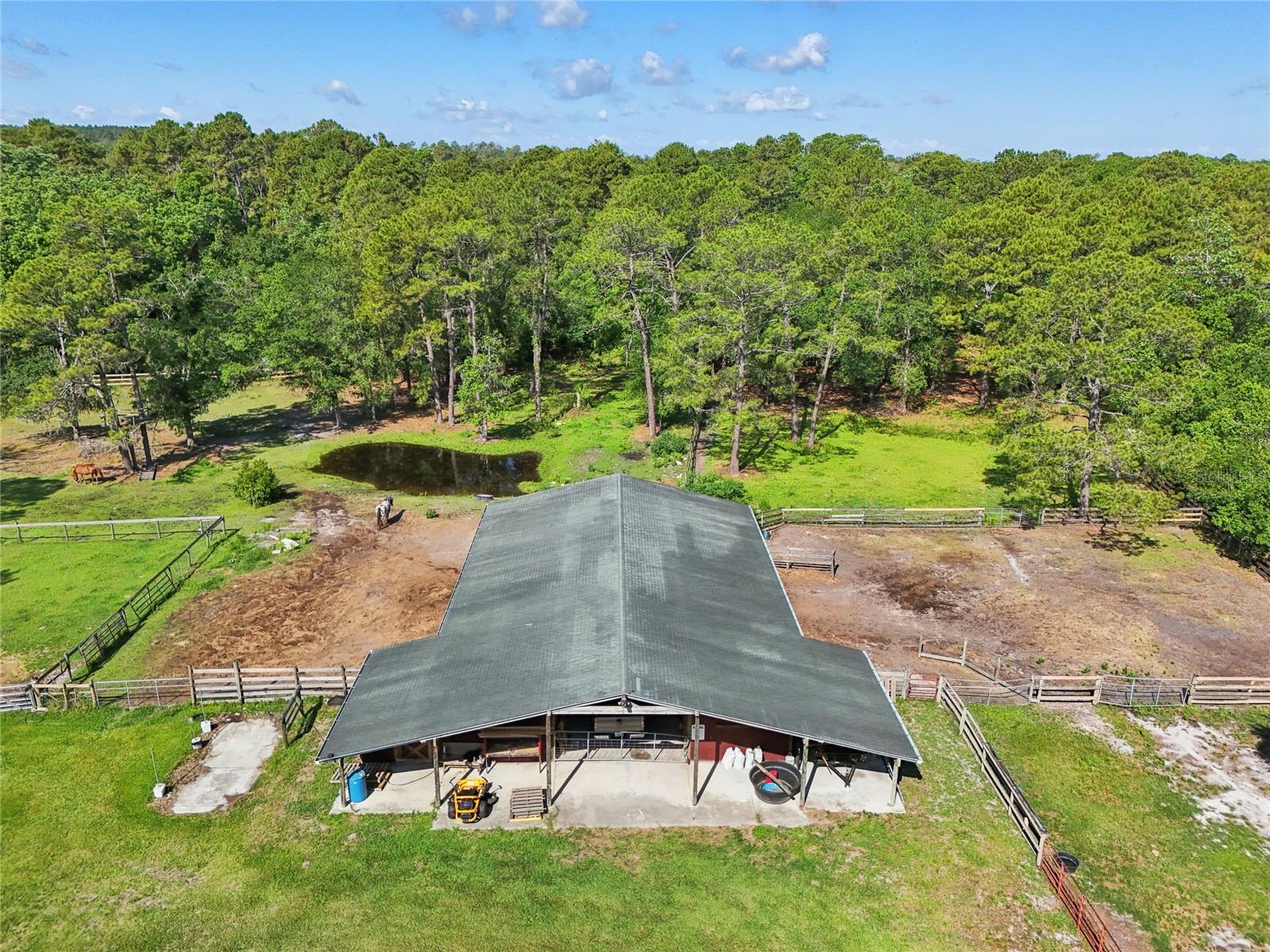 21320 PARADISE WAY, EUSTIS, FL, 32736