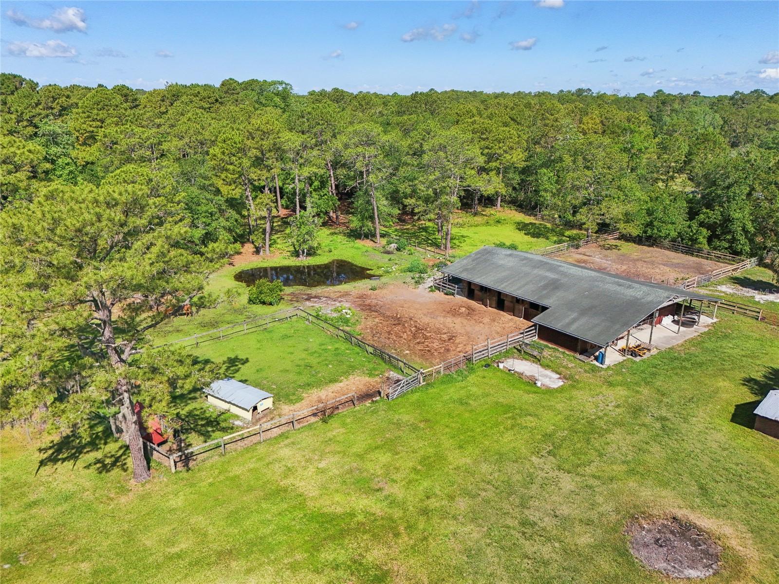 21320 PARADISE WAY, EUSTIS, FL, 32736