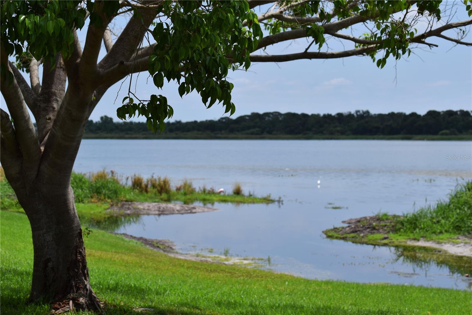 Lake Seminole