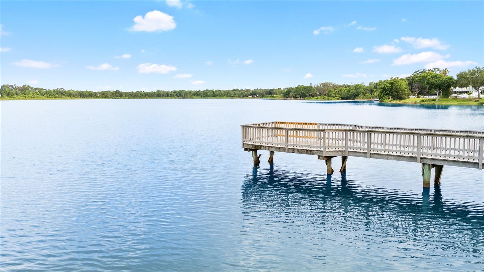 2807 NORTHCOTE DR, PALM HARBOR, FL, 34684