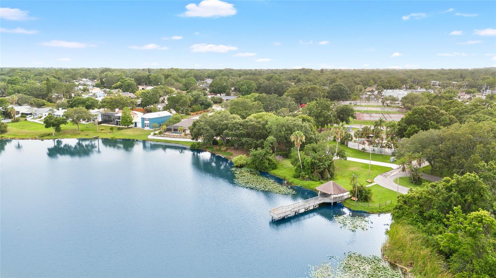 2807 NORTHCOTE DR, PALM HARBOR, FL, 34684