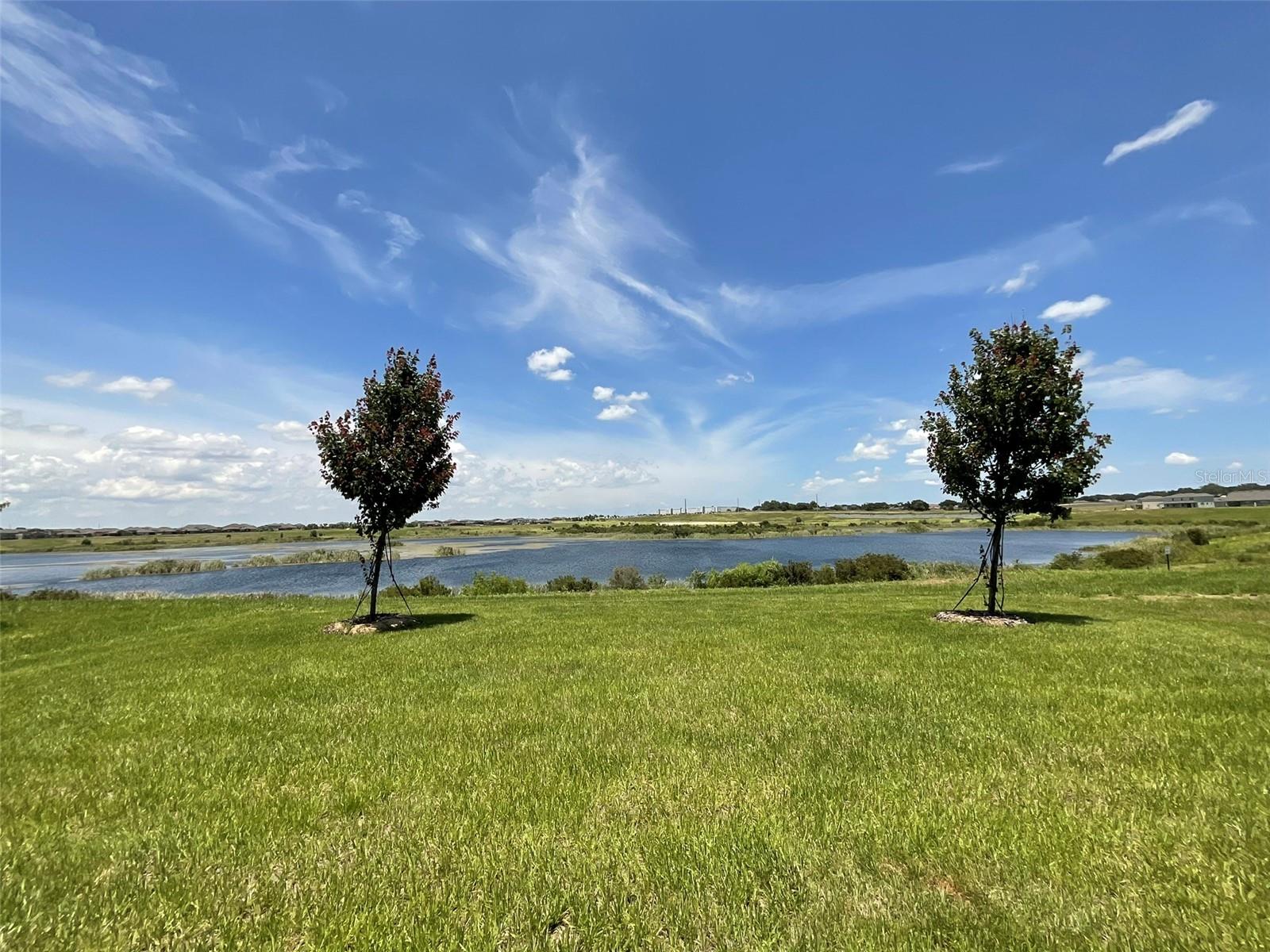 3220 CANNA LILY PL, CLERMONT, FL, 34711