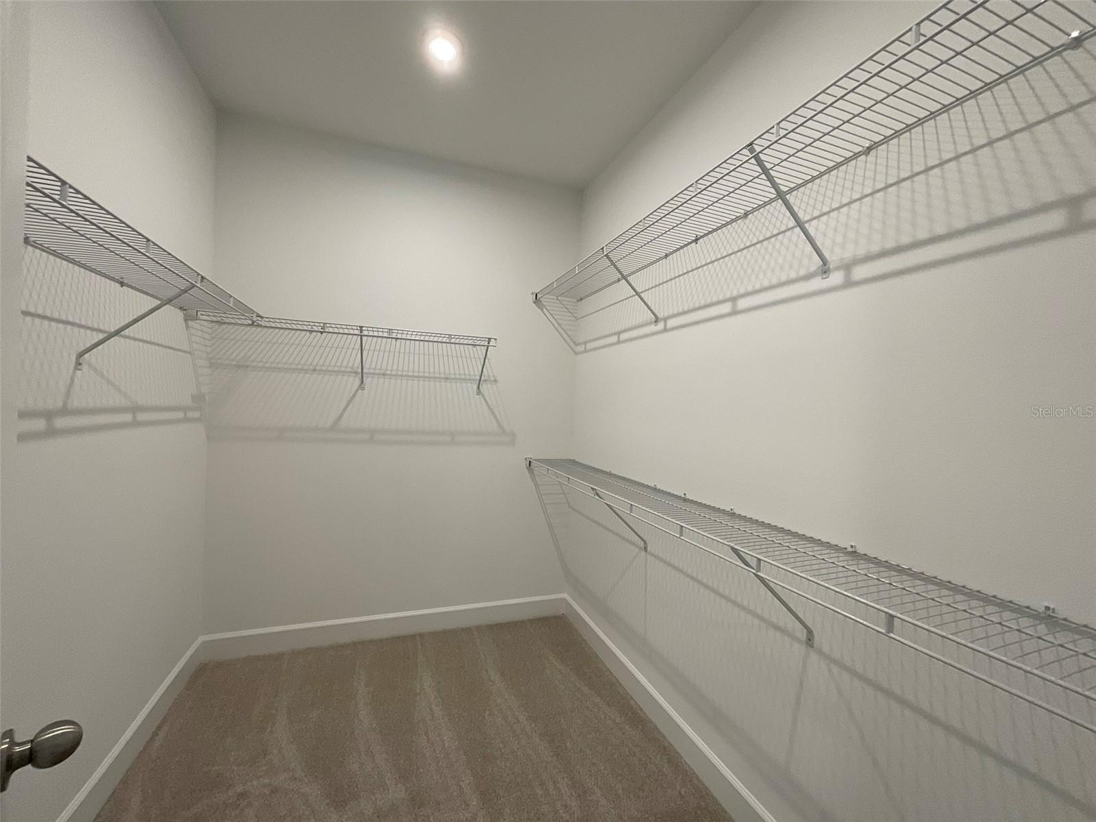 3220 CANNA LILY PL, CLERMONT, FL, 34711