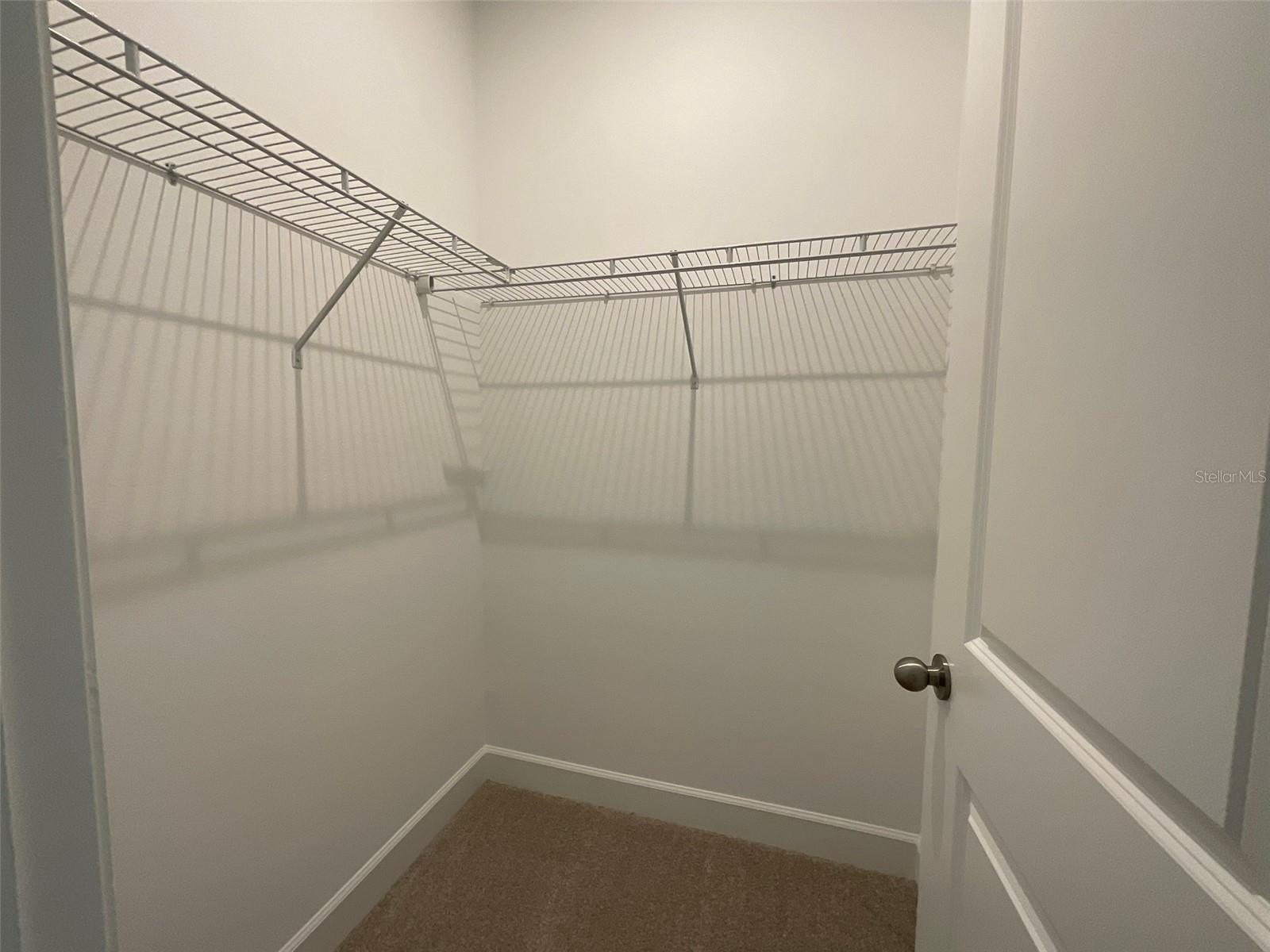 3220 CANNA LILY PL, CLERMONT, FL, 34711