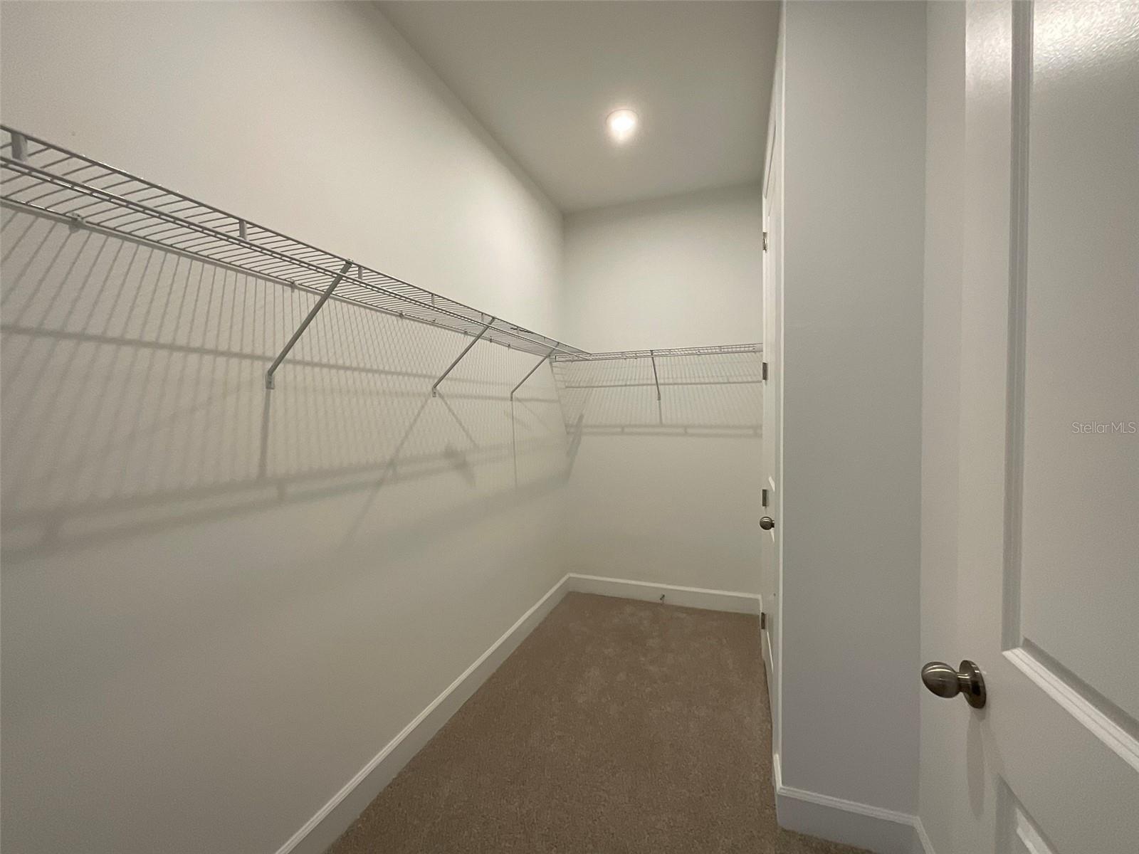 3220 CANNA LILY PL, CLERMONT, FL, 34711