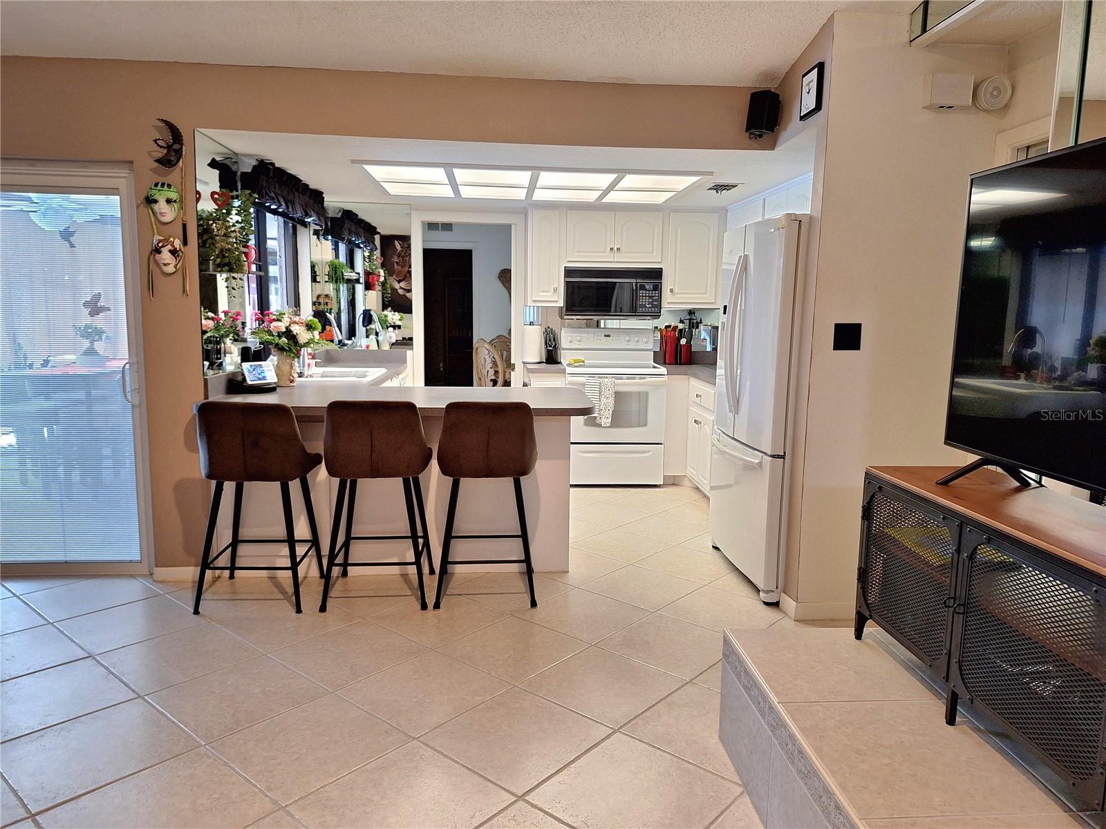 1291 STONY BROOK LN, DUNEDIN, FL, 34698