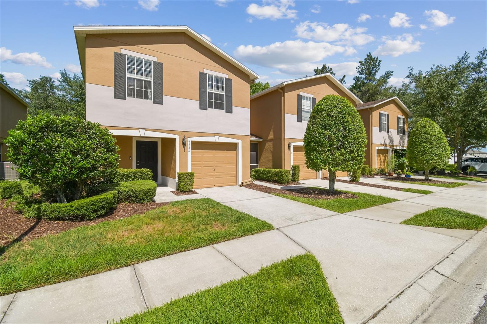 4528 WINDING RIVER WAY, LAND O LAKES, FL, 34639