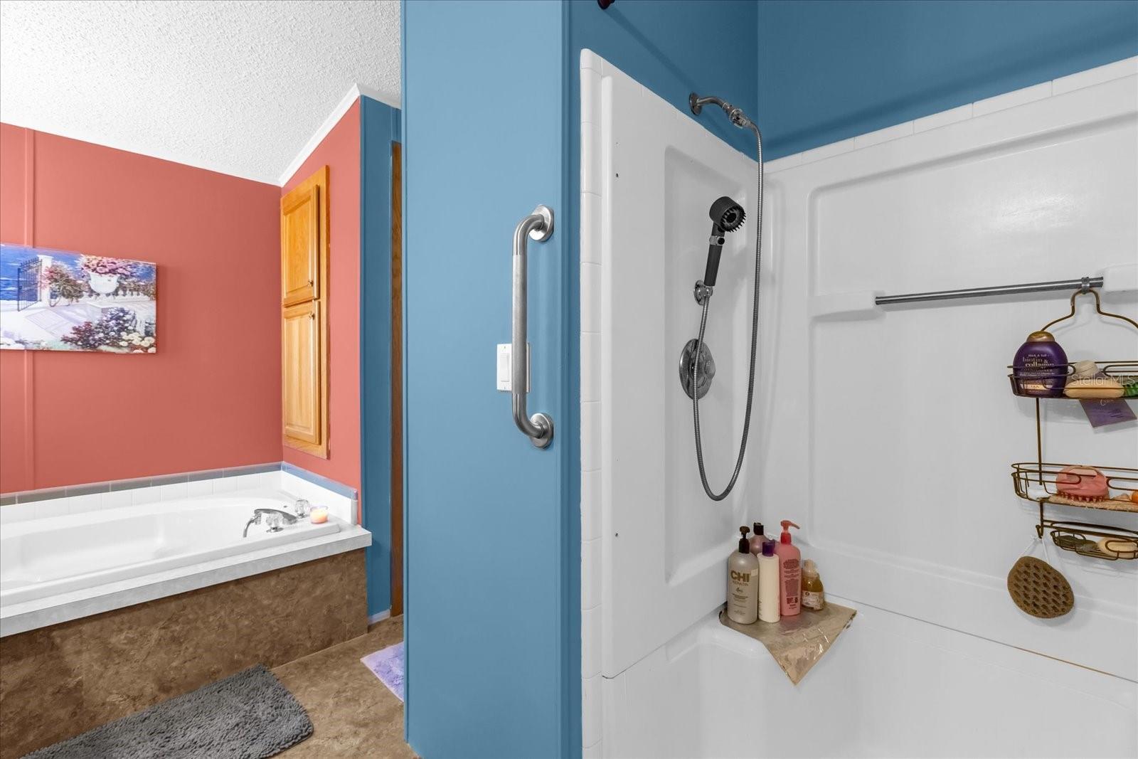 13009 PLUM LAKE CIR, MINNEOLA, FL, 34715