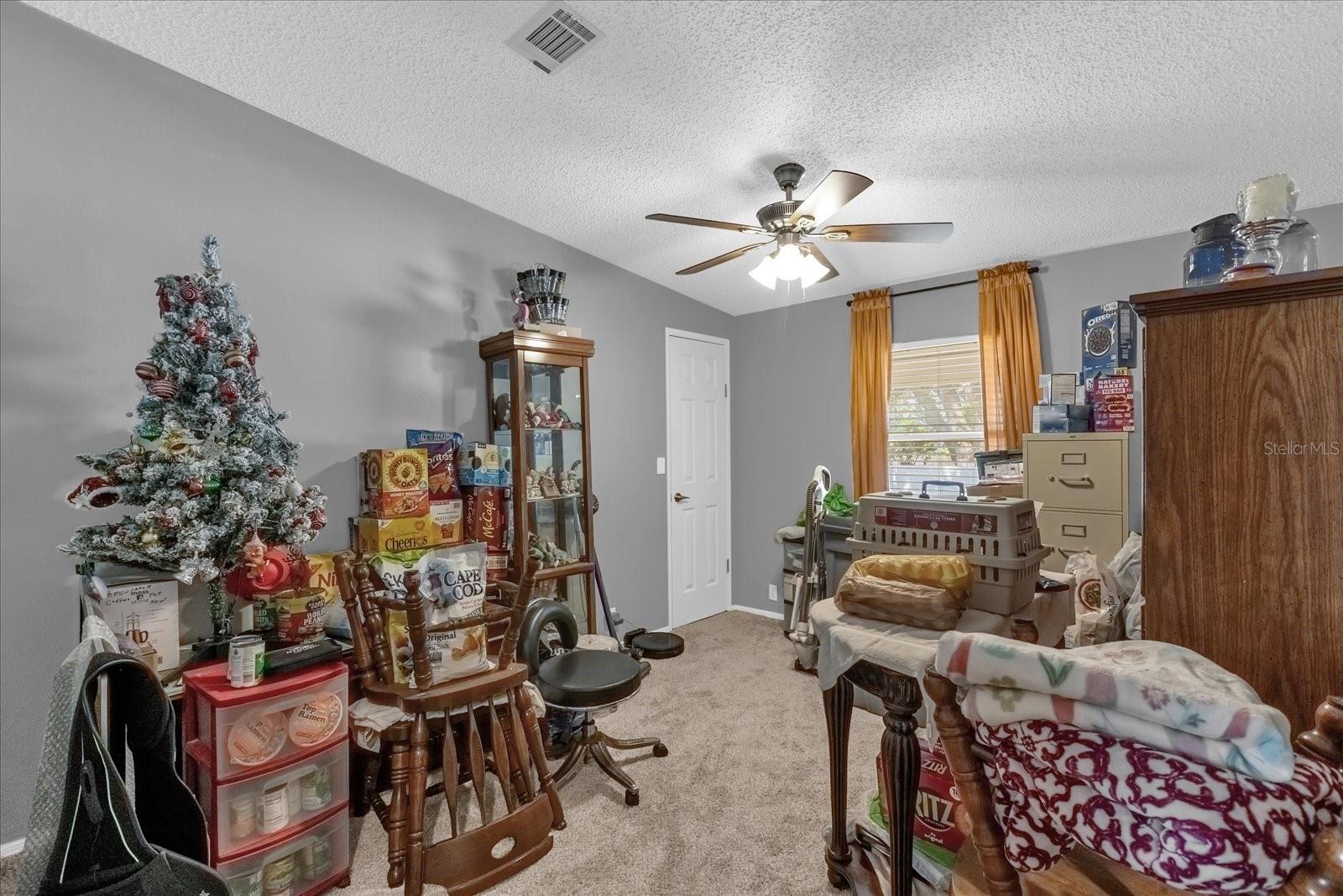 13009 PLUM LAKE CIR, MINNEOLA, FL, 34715