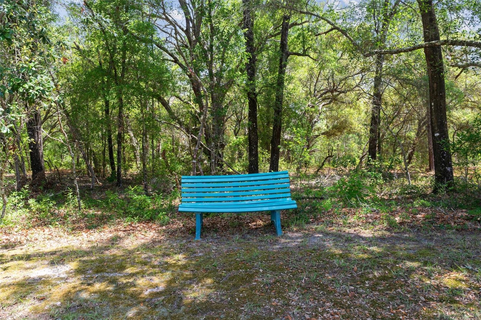 952 E WHITECLOUD LN, HERNANDO, FL, 34442