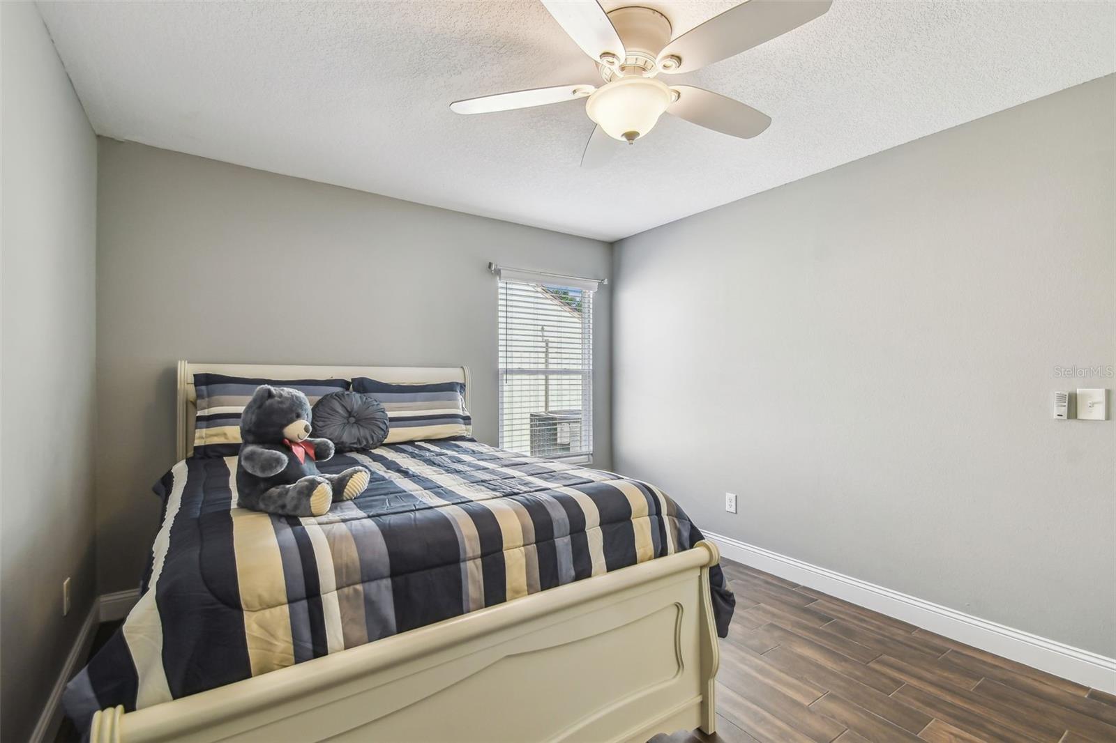 7004 WESTMINSTER ST, TAMPA, FL, 33635