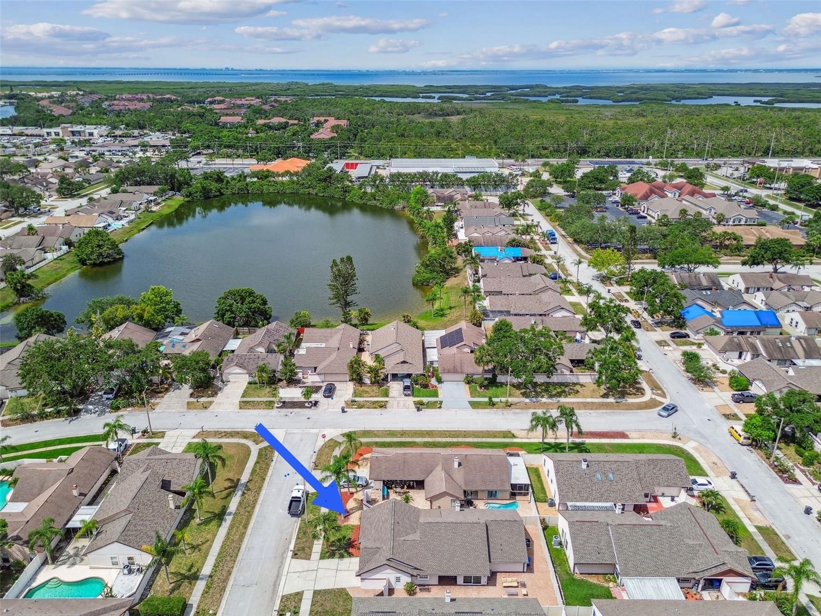 7004 WESTMINSTER ST, TAMPA, FL, 33635