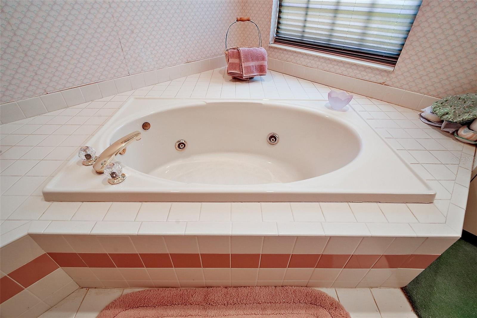 621 HIGH POINT DR, MOUNT DORA, FL, 32757